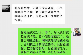 新田为什么选择专业追讨公司来处理您的债务纠纷？