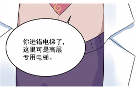 新田专业讨债公司有哪些核心服务？